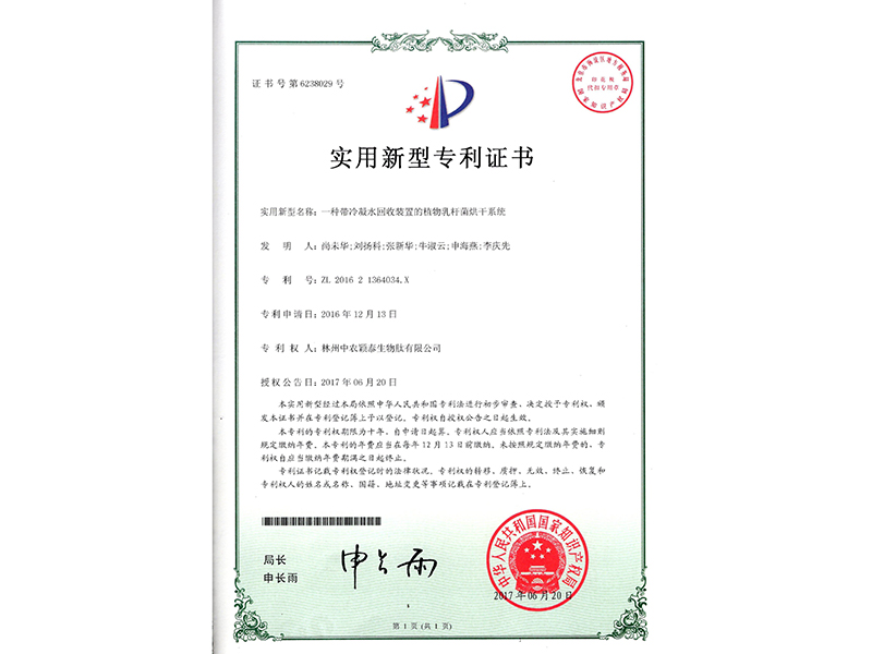 一種帶冷凝水回收裝置的植物乳桿菌烘干系統