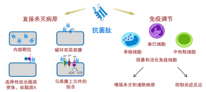 泰倍健——新型免疫增強劑，構建核心抗病力